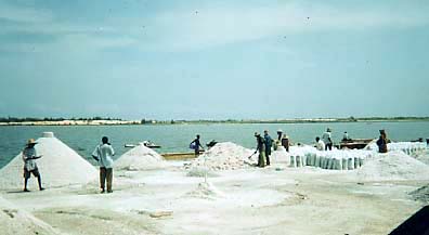 le lac Rose